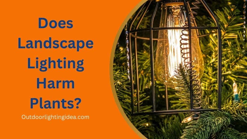 Does Landscape Lighting Harm Plants?