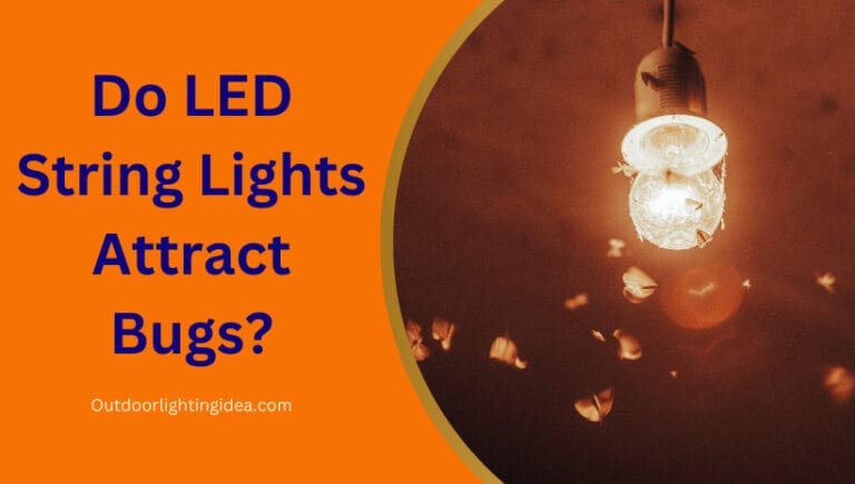 Do LED String Lights Attract Bugs?