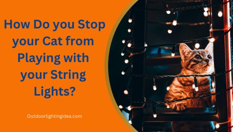 How Do you Stop your Cat from Playing with your String Lights?