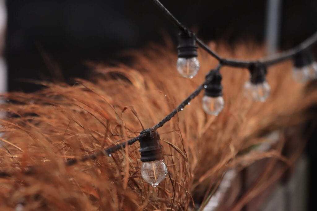 Can You Leave String Lights Out in Winter?