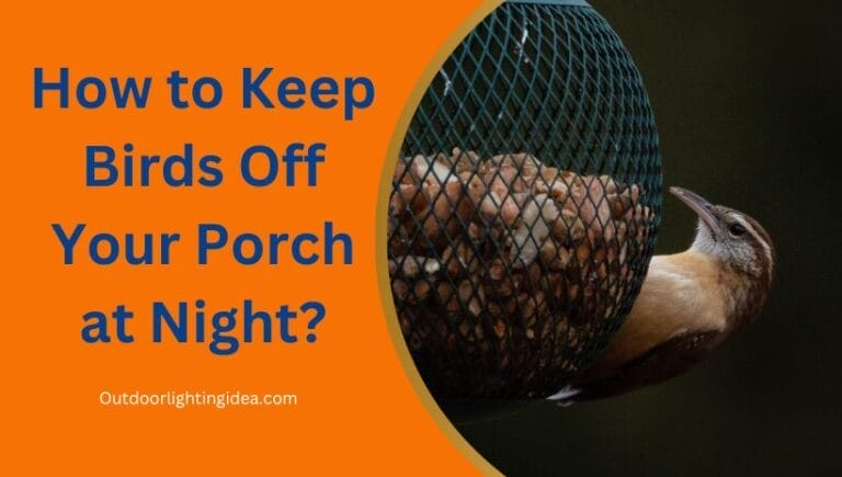 How to Keep Birds Off Your Porch at Night?