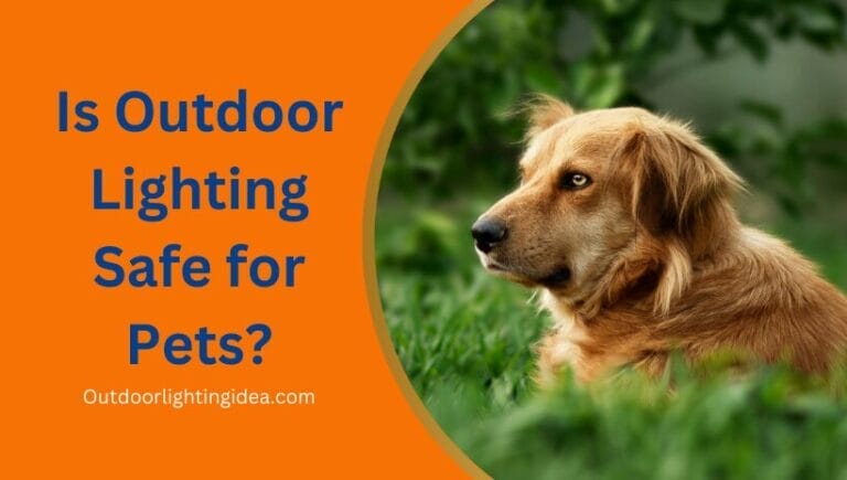 Is Outdoor Lighting Safe for Pets?